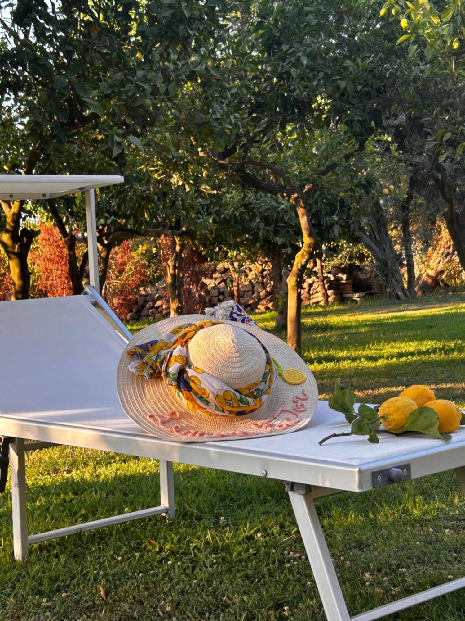Lemon Factor 3* סורנטו